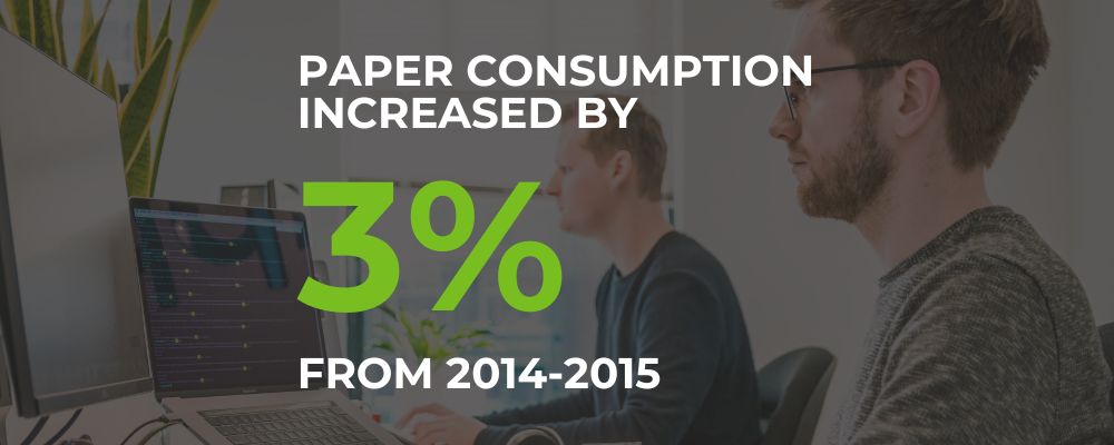 paper consumption increased by 3%